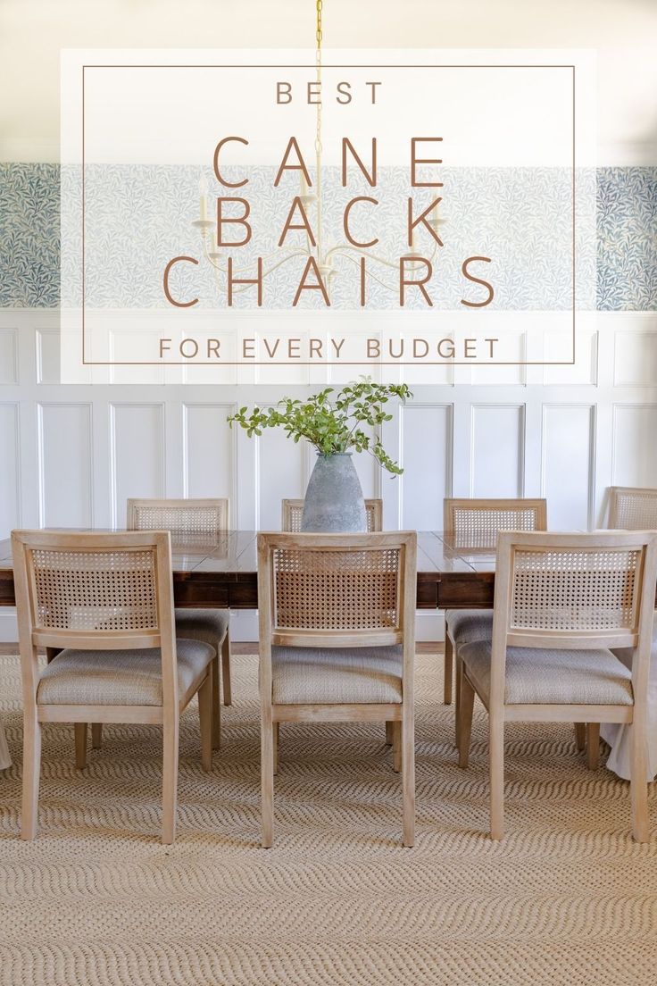 a dining room table and chairs with the words best cane back chairs for every budget