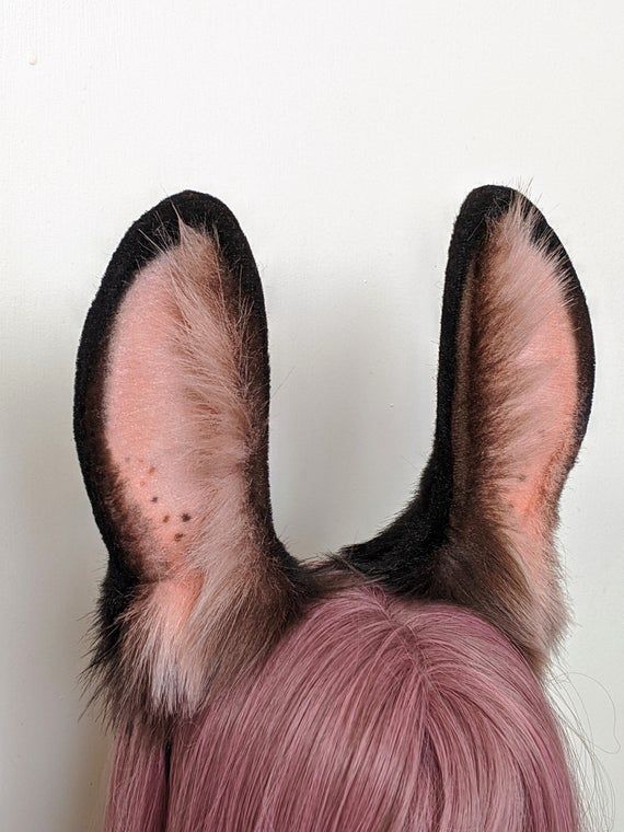 Wolf Ears And Tail, Species Ideas, Ap Portfolio, Bunny Headband, Wolf Ears, Fair Outfits, Ears And Tail, Pet Spaces, Art Outfit