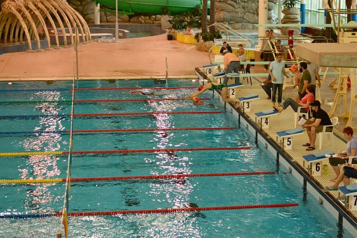 swimmers are lined up at the edge of an indoor swimming pool