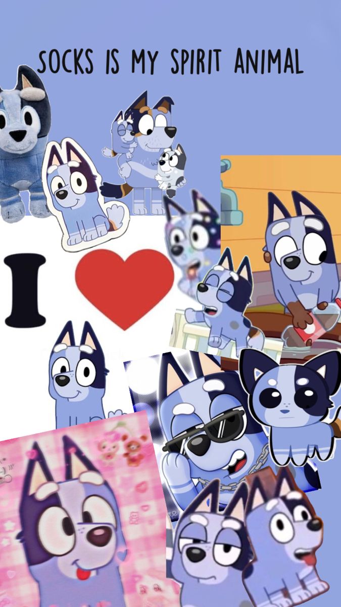 i love sock's is my spirit animal, and it has many different pictures