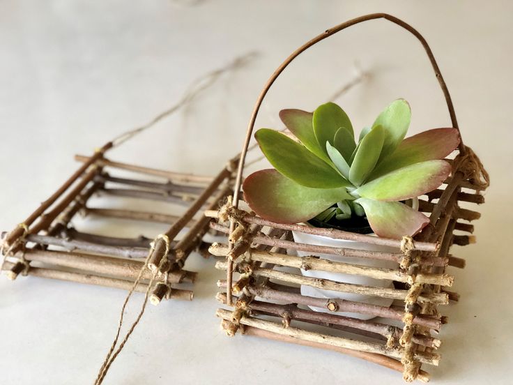 a plant in a basket made out of sticks