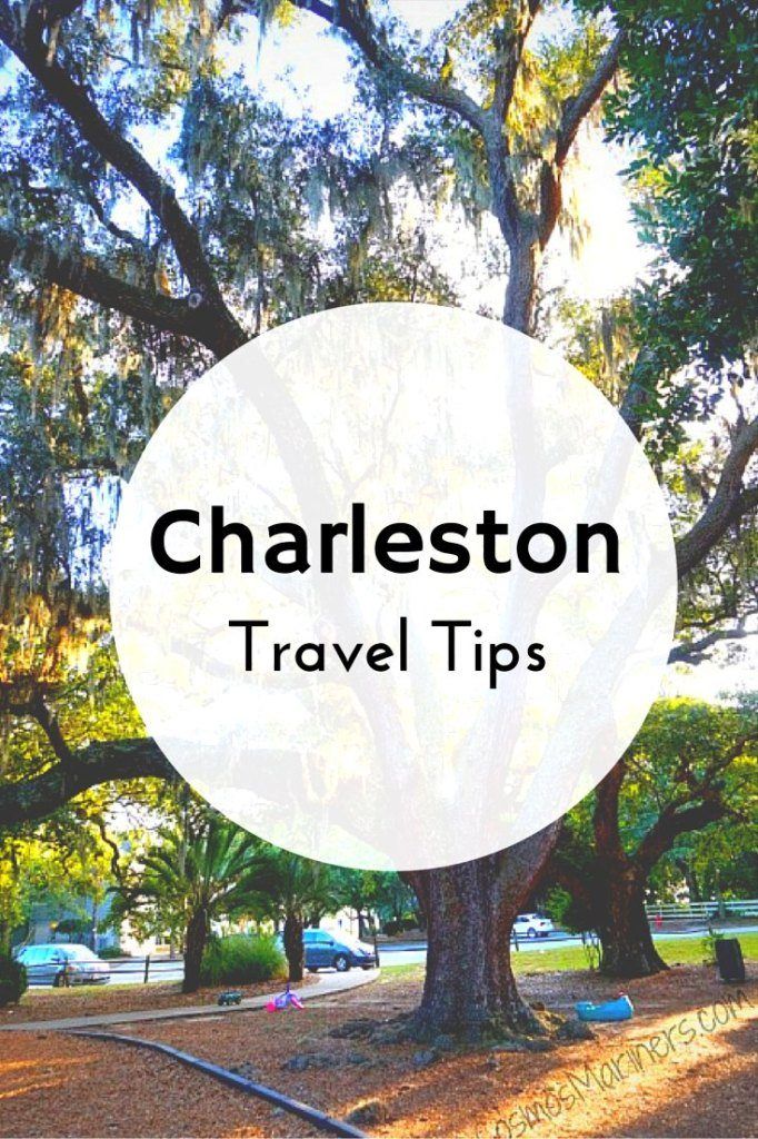 charleston travel tips with the words charleston on it in front of a large oak tree