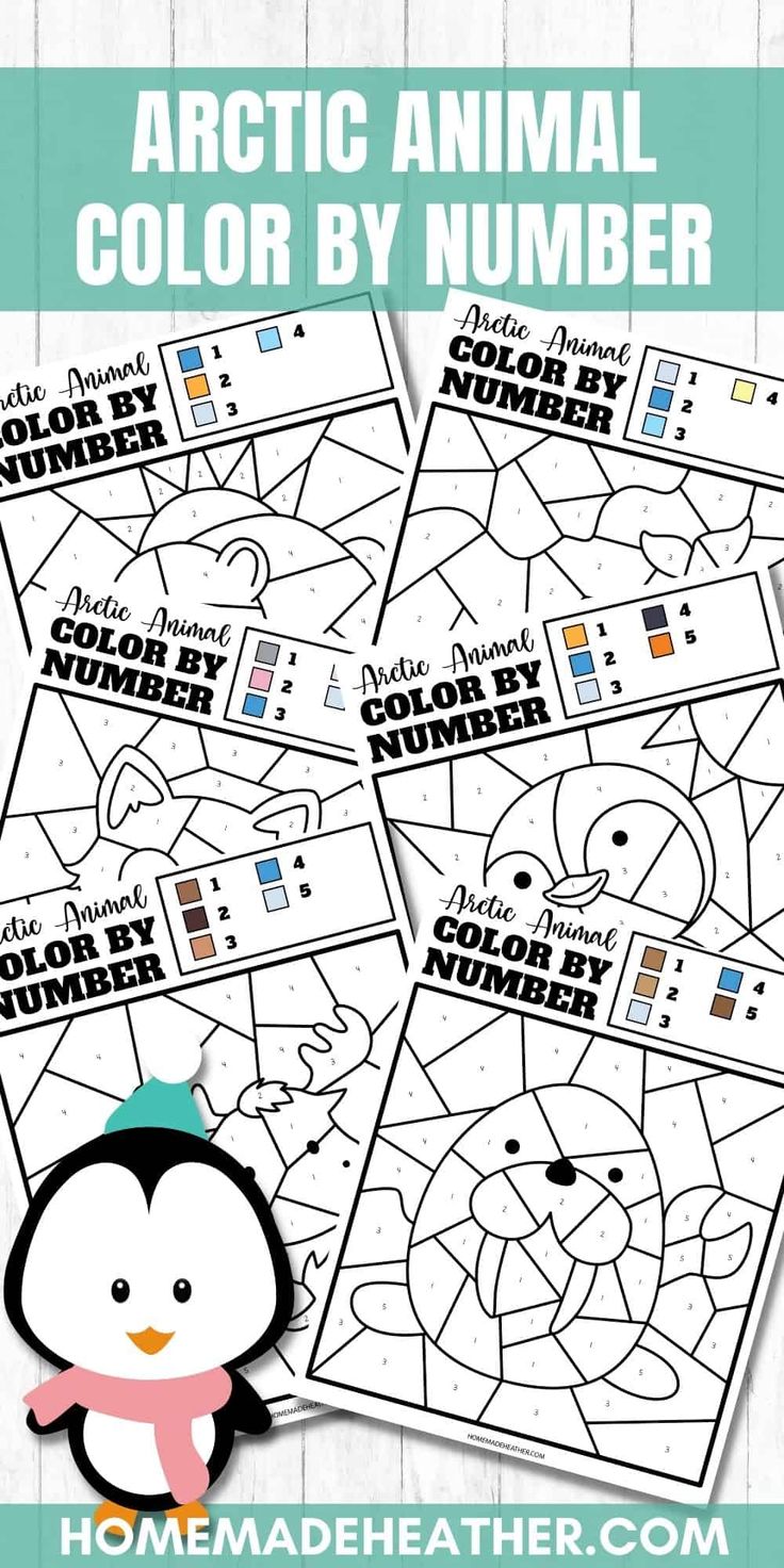 an arctic animal color by number activity for kids