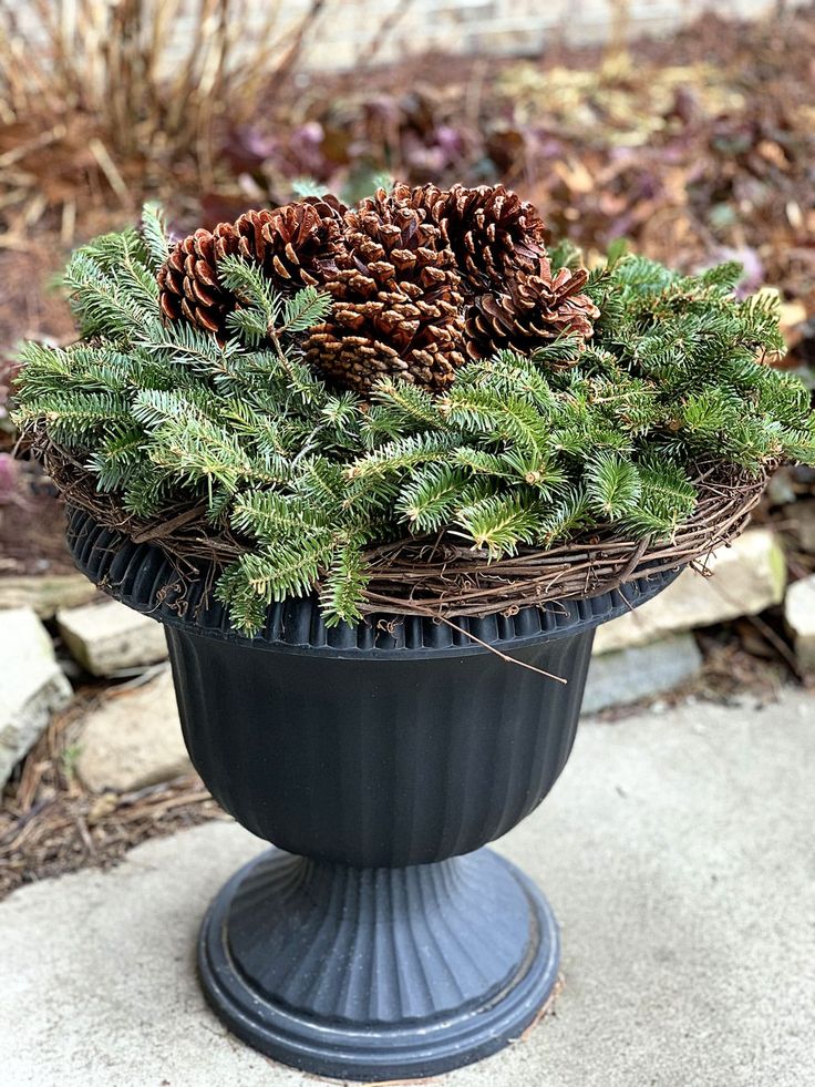 a planter filled with pine cones and greenery on top of a cement walkway