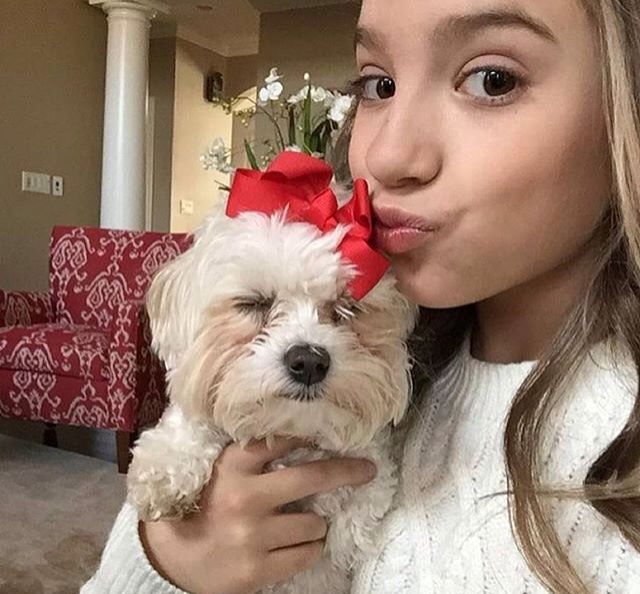 a woman holding a small white dog with a red bow on it's head