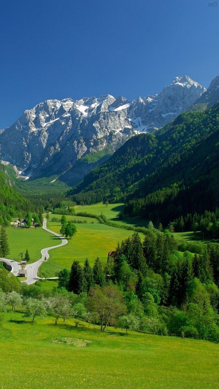 a green valley with mountains in the background and a road winding through it, surrounded by trees