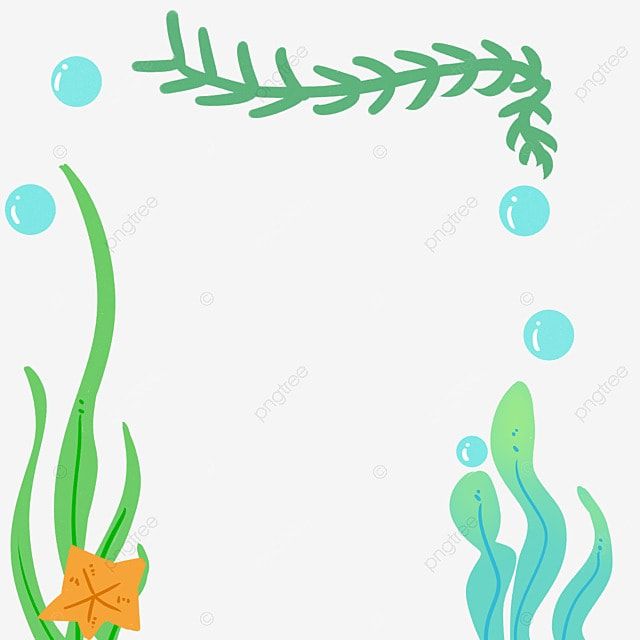 an underwater scene with seaweed, starfish and bubbles