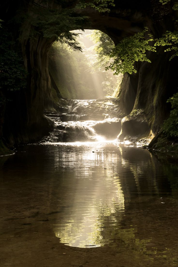 the sun shines through an arch over a stream in a wooded area with trees and water