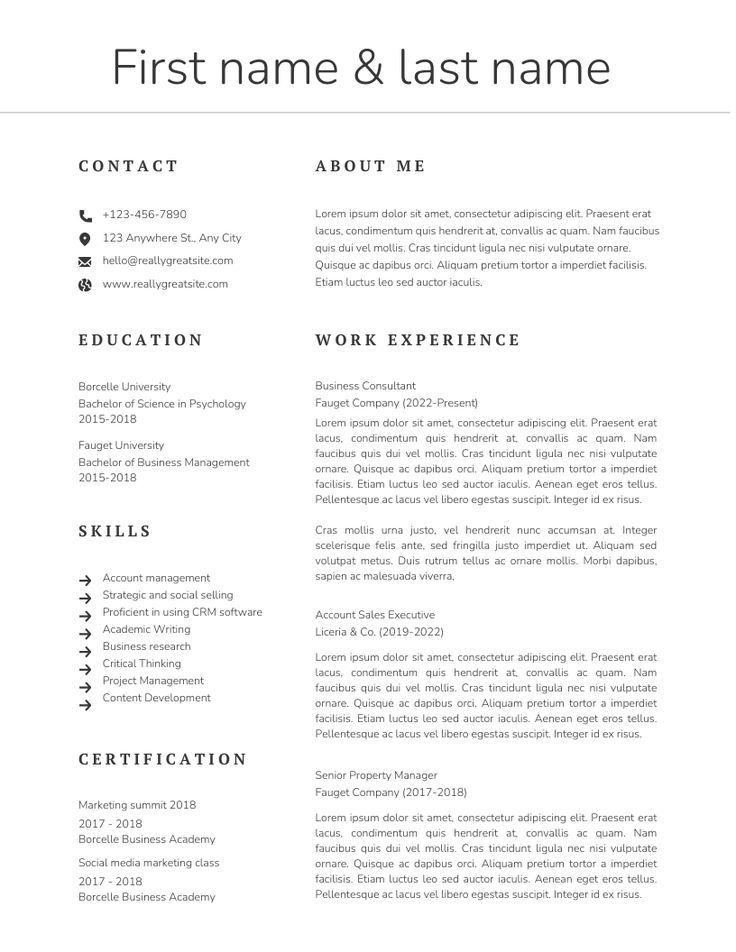 a professional resume template with no work experience