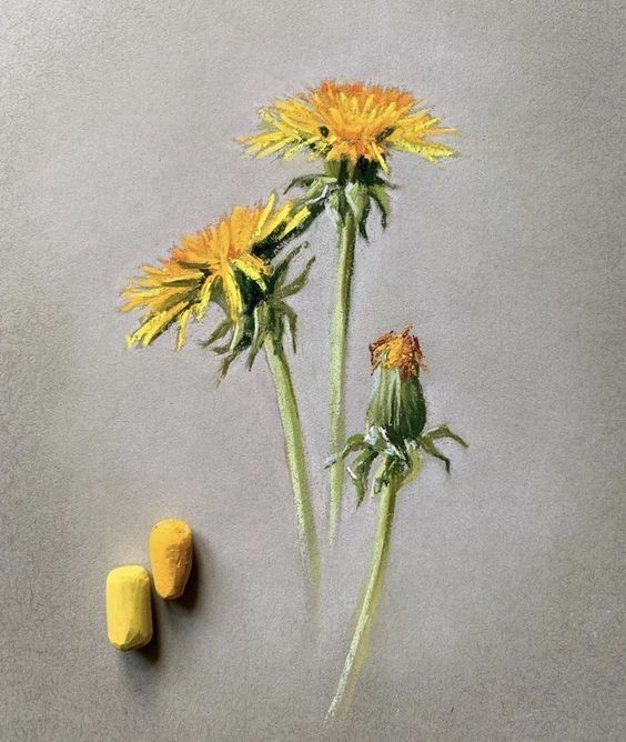 two yellow flowers are next to each other on a gray surface with one flower in the foreground