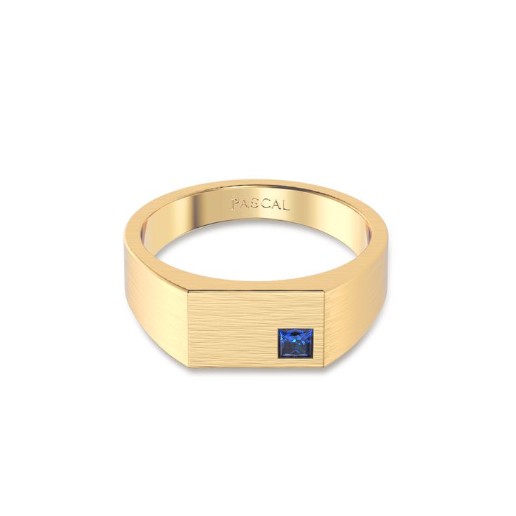 Adorned with a princess-cut lab-grown gemstone, this ring offers a choice of colors. Set within the classic rectangular Signet ring design, it's a timeless accessory suitable for any occasion.This ring is available with both polished and brushed finishes, allowing you to choose your preferred style. The meticulous detailing amplifies its vintage charm, making it a timeless collection. 18k Gold Vermeil: With its substantial layer of 18k solid gold on sterling silver, 18k Gold Vermeil is not the t Signet Ring Design, Charm Making, Timeless Accessories, Pure Gold, Signet Ring, Princess Cut, Vintage Charms, Gold Plating, Gold Vermeil