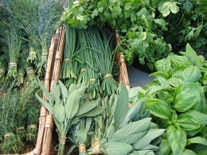 there are many different types of vegetables in the basket with words on it that say, so fresh, so vegetable, so healthy like you picked it yourself