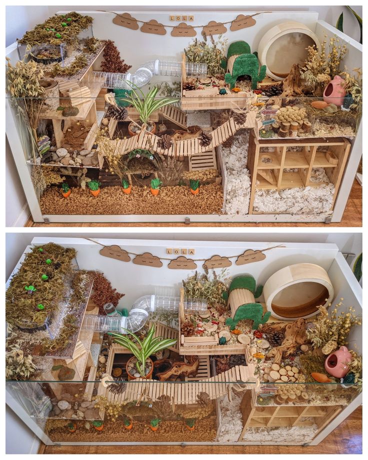 two pictures of the inside of a dollhouse with plants and animals in their houses