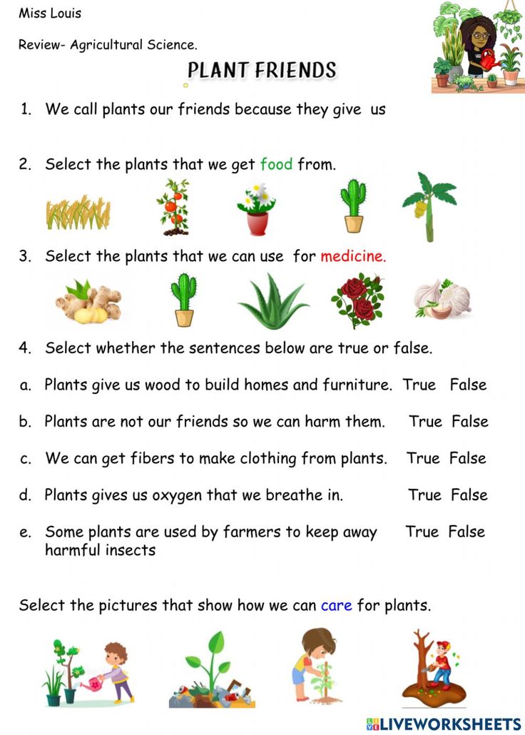 plants and flowers worksheet for kids to learn plant life in the classroom with pictures