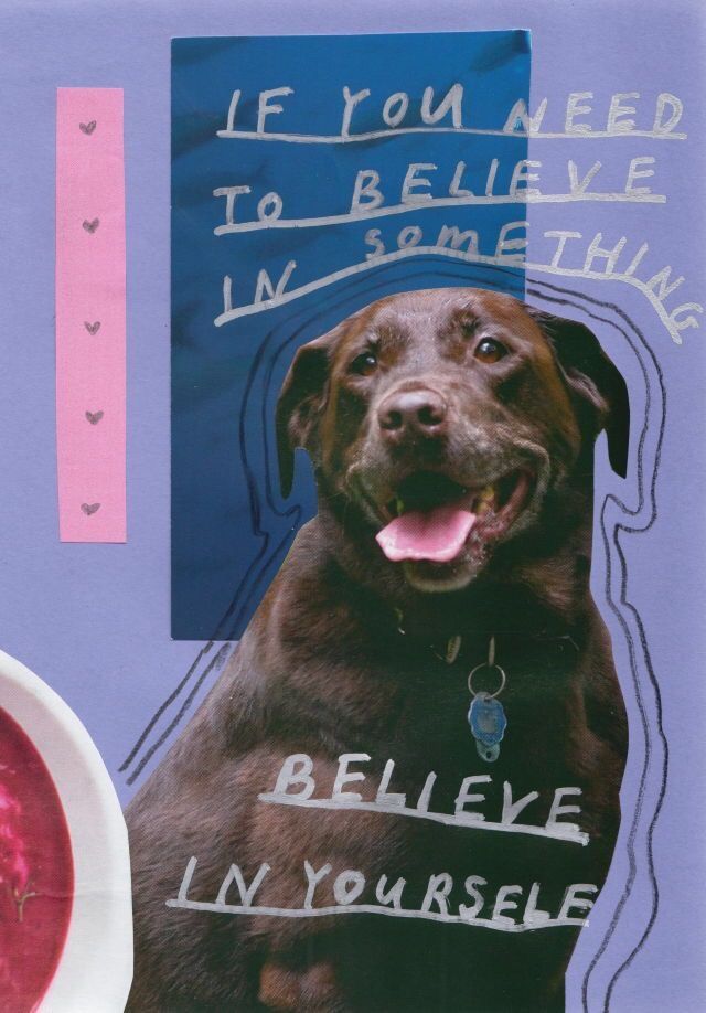 a brown dog sitting next to a bowl of watermelon and a sign that says, if you need to believe in something i'm yourself