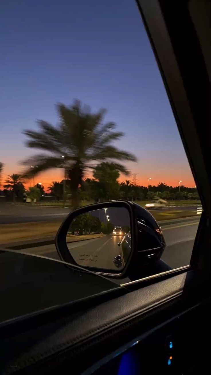 a car's rear view mirror is shown at dusk with palm trees in the background