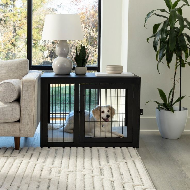 a white dog sitting in a cage next to a couch