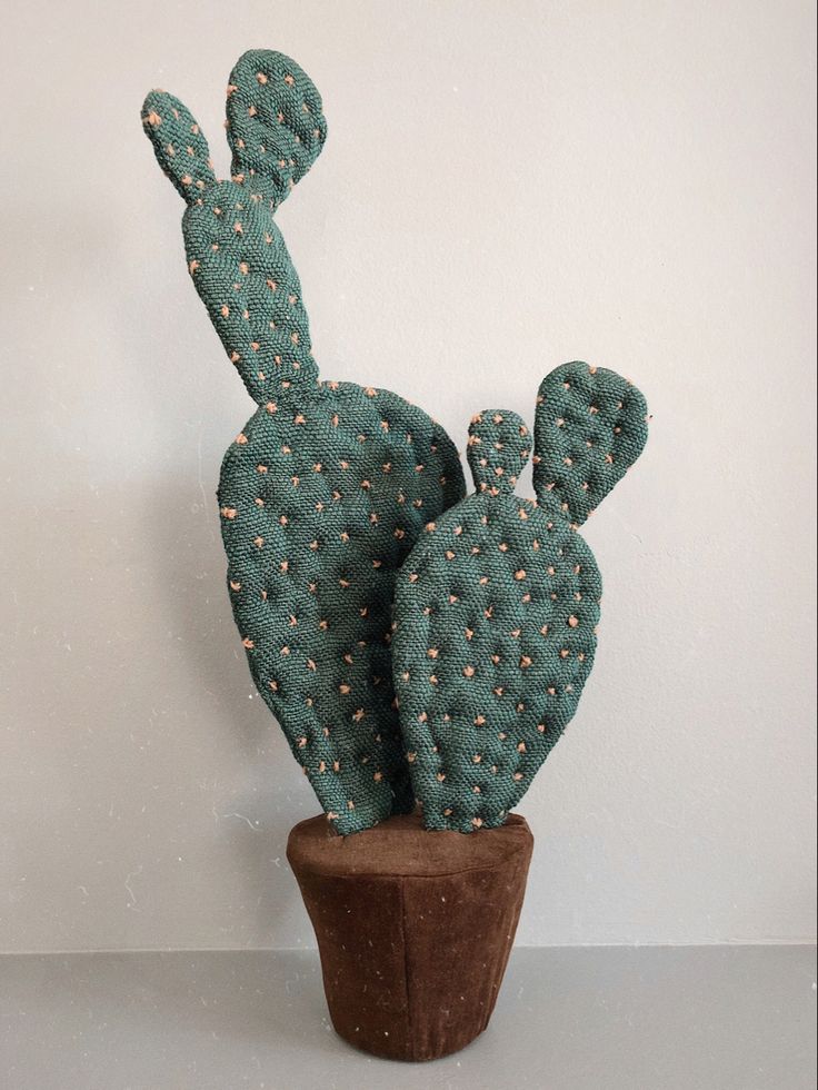 a green cactus sitting on top of a potted plant next to a white wall