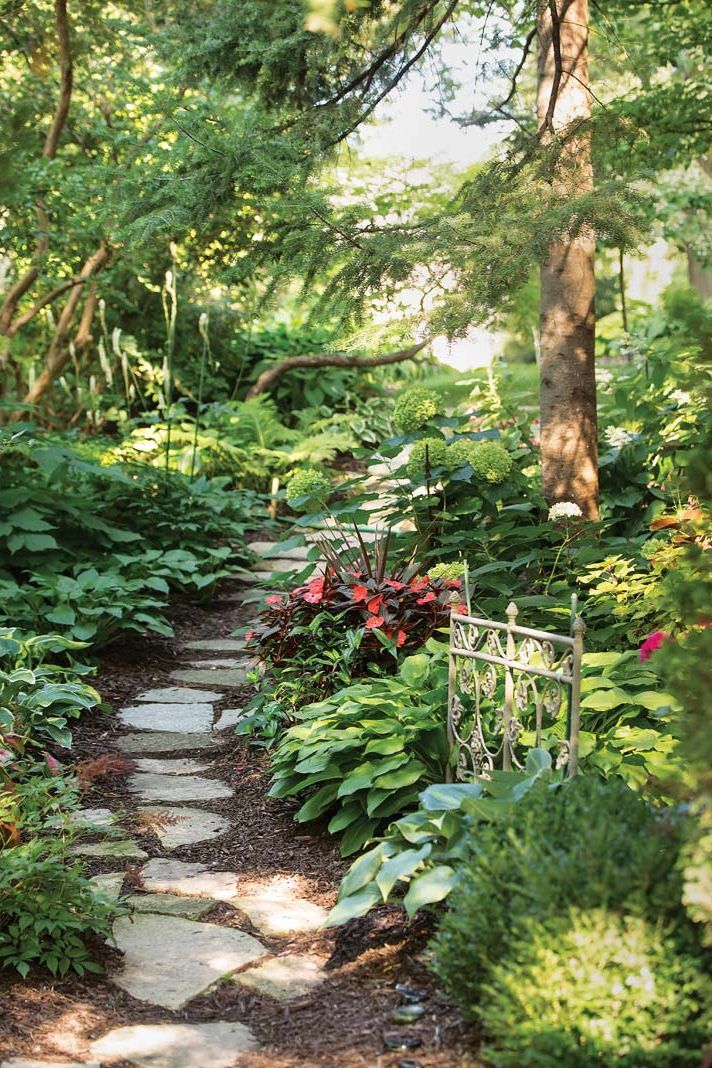 a stone path in the middle of a lush green forest