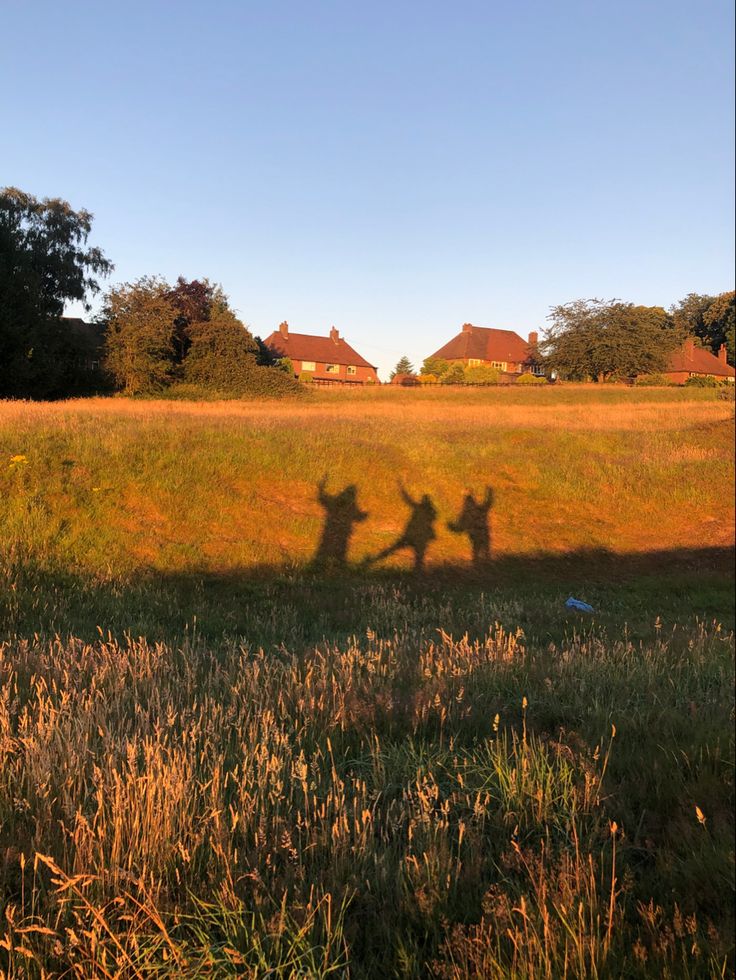 the shadow of two people holding hands in front of a grassy field with houses behind them