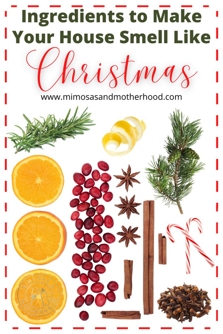 the ingredients to make your house smell like christmas, including oranges and cinnamon sticks