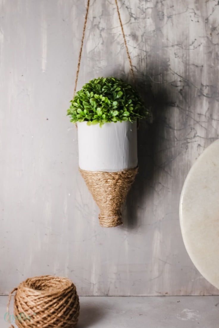 a potted plant hanging from a rope on a wall next to a round object