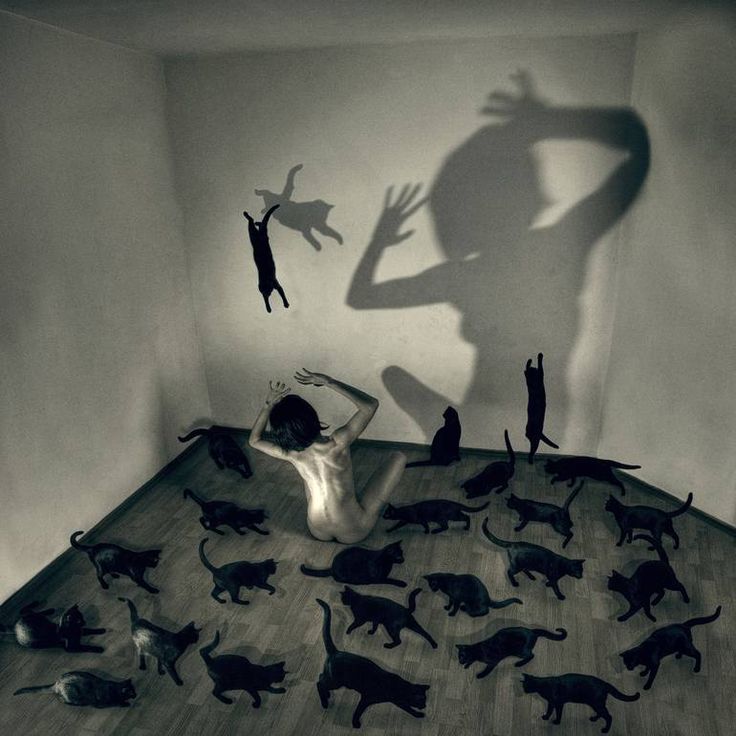 the shadow of a person standing in front of a room with cats on the floor