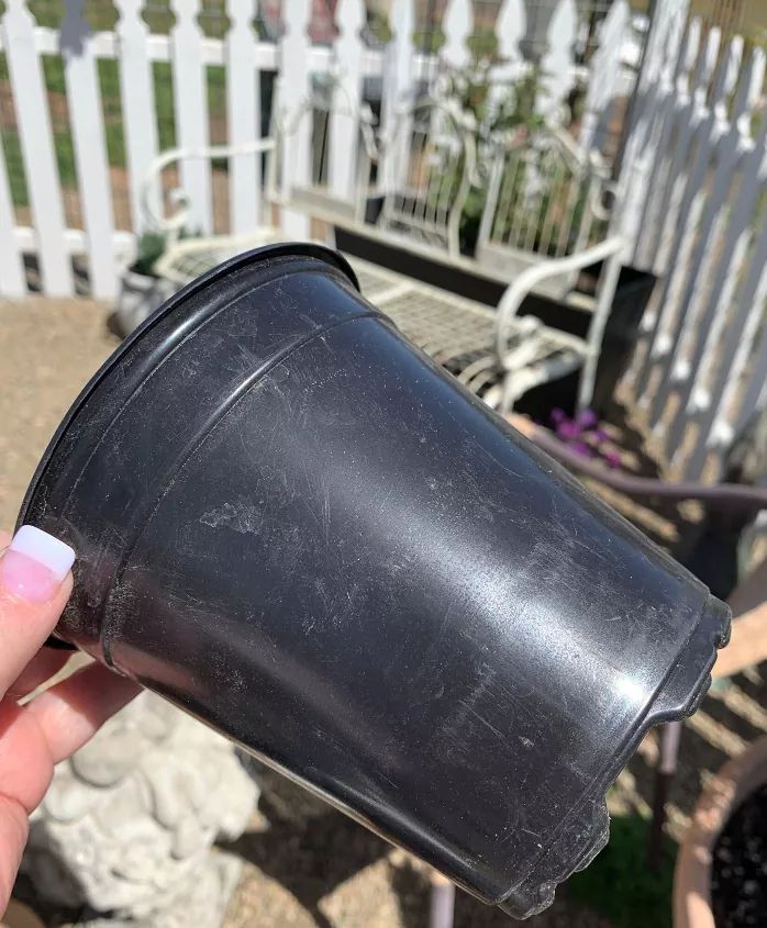 a hand holding a black plastic cup in front of a white picket fence and bench