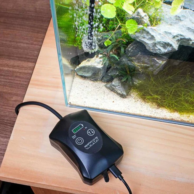 a fish tank sitting on top of a wooden table next to a computer mouse and keyboard