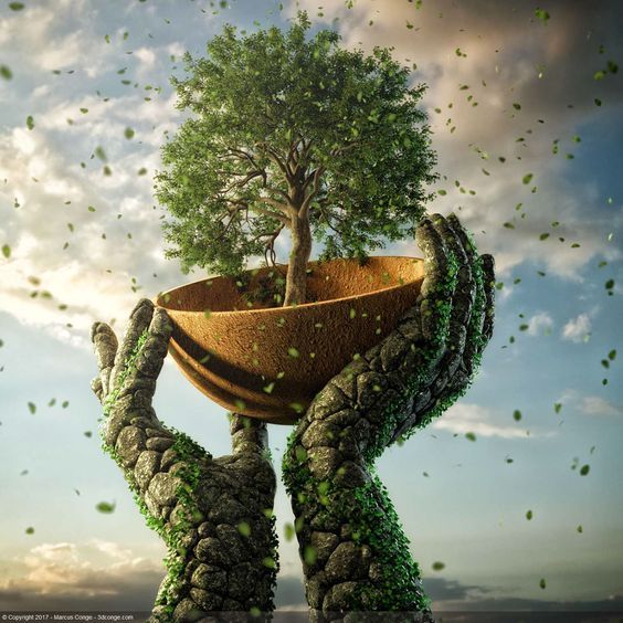 two hands holding up a bowl with a tree growing out of it in front of a cloudy sky