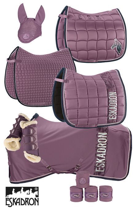 an equestrian set with boots, gloves and blanket in purple color for horse riding or dressage