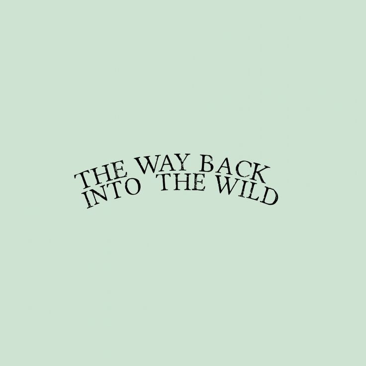 the way back into the wild is written in black on a light green background with an arrow