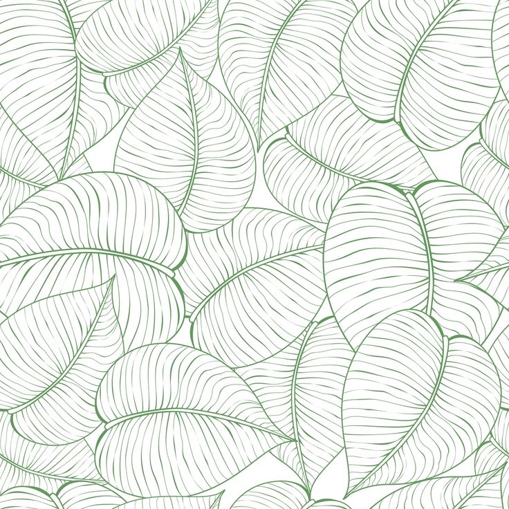 an abstract background with leaves in green and white colors epstng on the left side