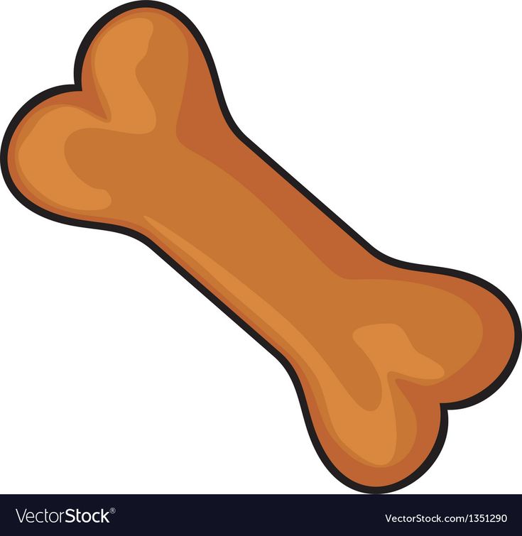 a dog bone on a white background