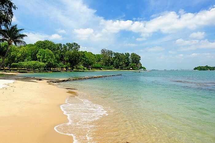 a sandy beach with clear blue water and palm trees