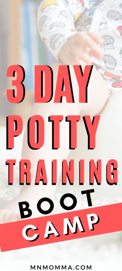 How To Potty Train In 3 Days, Potty Training Boys Under 2, Three Day Potty Training Method, Big Little Feeling Potty Training, Potty Training Schedule Toddler, Potty Training 3 Day Method, 3 Day Potty Training Method Boys, Potty Training Boys In 3 Days, Potty Training Girls Under 2