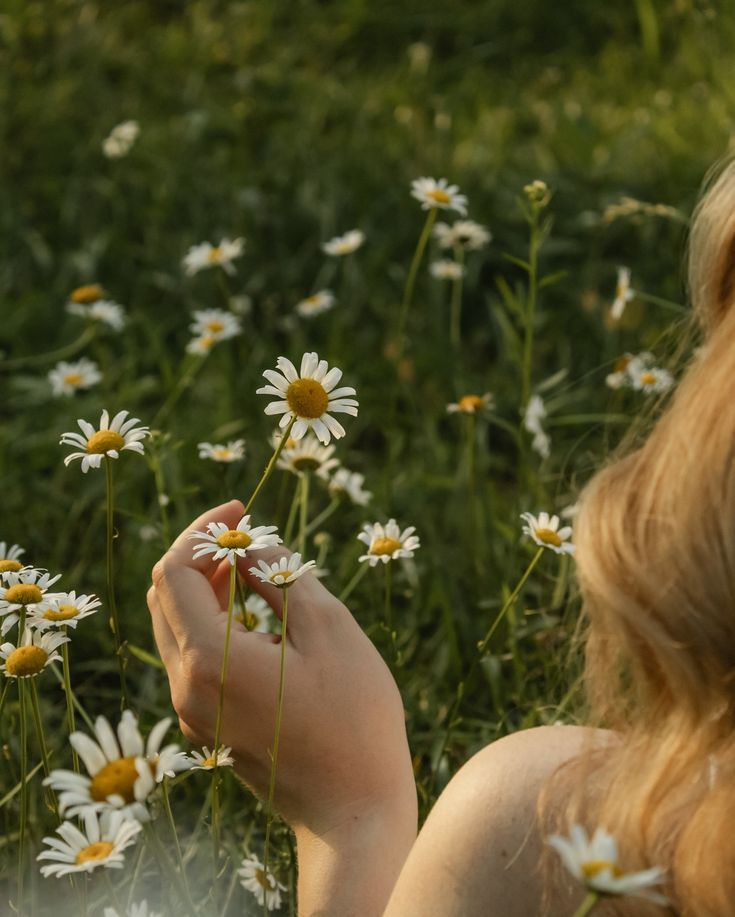 a woman is standing in a field of daisies and holding her hand up to the flowers