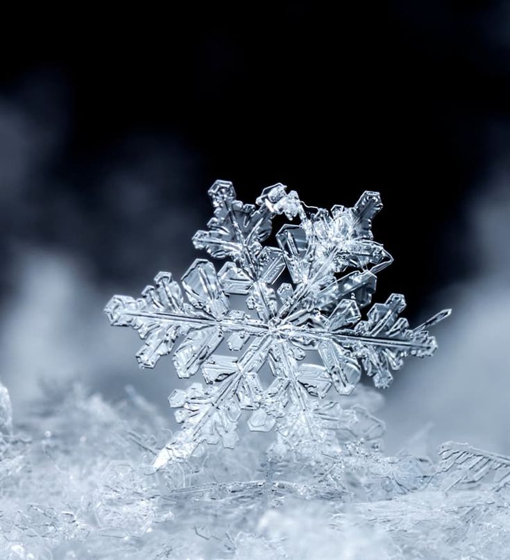 a snowflake that is sitting in the snow