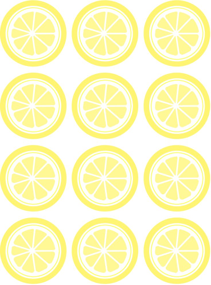 the lemons are cut in half and ready to be used as wall art or decoration