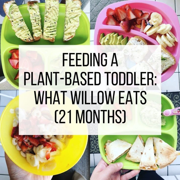 four plates with different foods in them and the words feeding a plant - based toddler what willow eats 12 months?