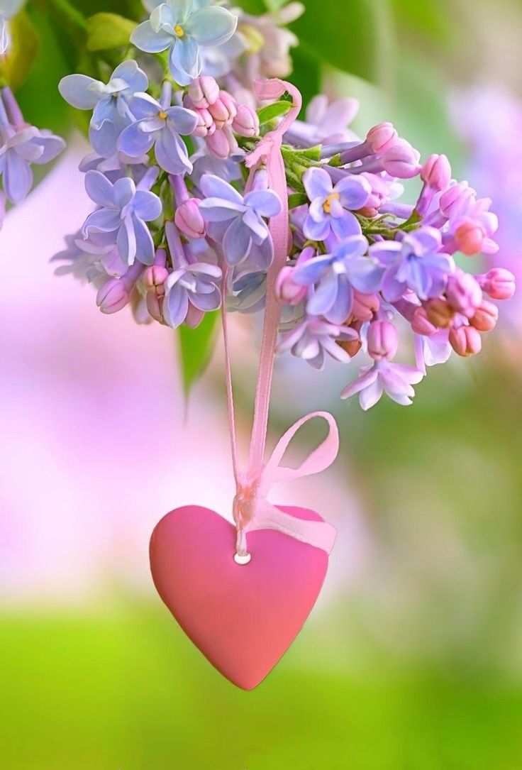 a pink heart shaped ornament hanging from a tree branch with purple flowers in the background