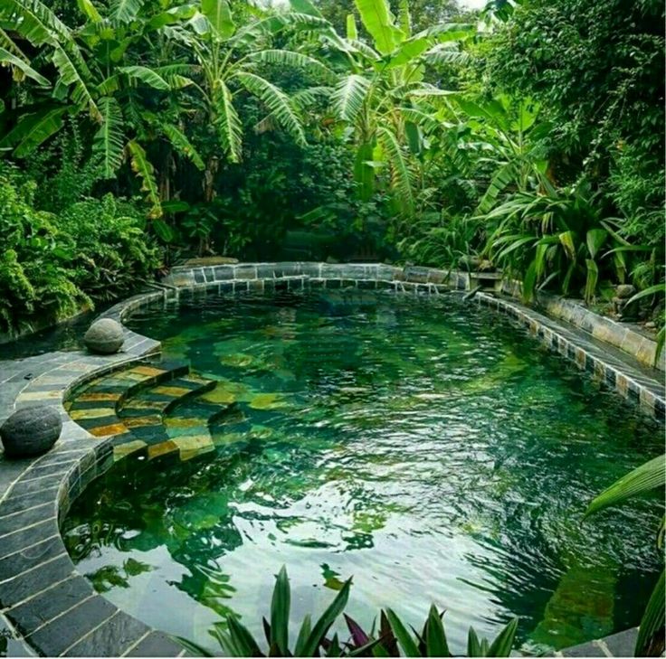 an outdoor swimming pool surrounded by greenery