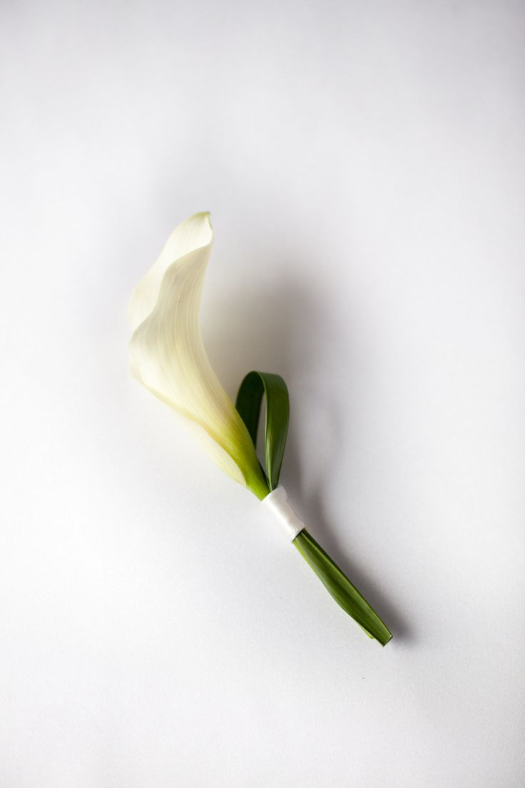 Modern white calla and Lilly Grass boutonniere.  View more of this collection at www.popsofplum.com White Tulip Corsage, Calla Lilly Boutineer Ideas, Calla Boutonniere, Cop Wedding, Calla Lillies Wedding, Calla Lillies Bouquet, White Calla Lily Bouquet, Puglia Wedding, Modern Bridal Bouquets