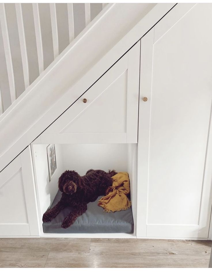 there is a dog that is laying down in the under stair case with his toy