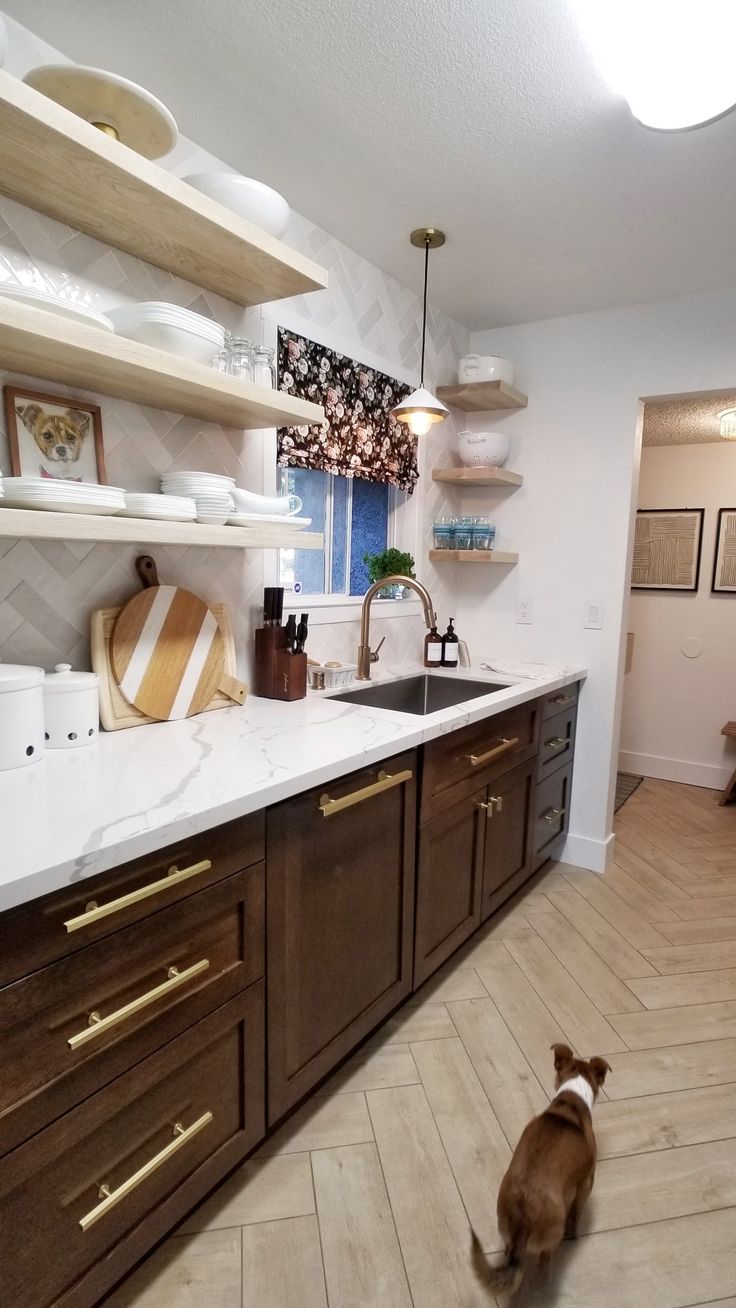 a dog standing in the middle of a kitchen with wooden cabinets and white counter tops