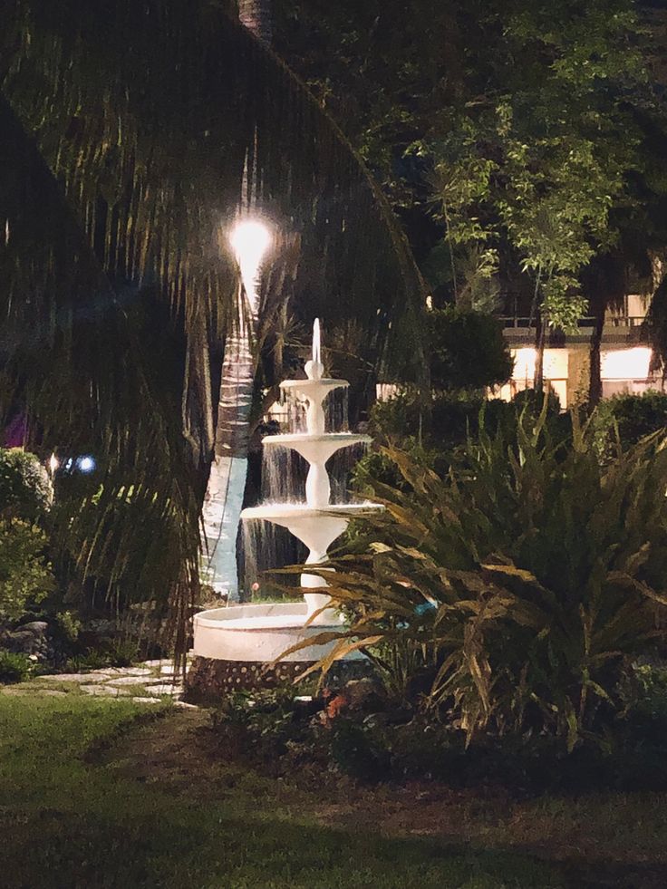 a water fountain in the middle of a park at night