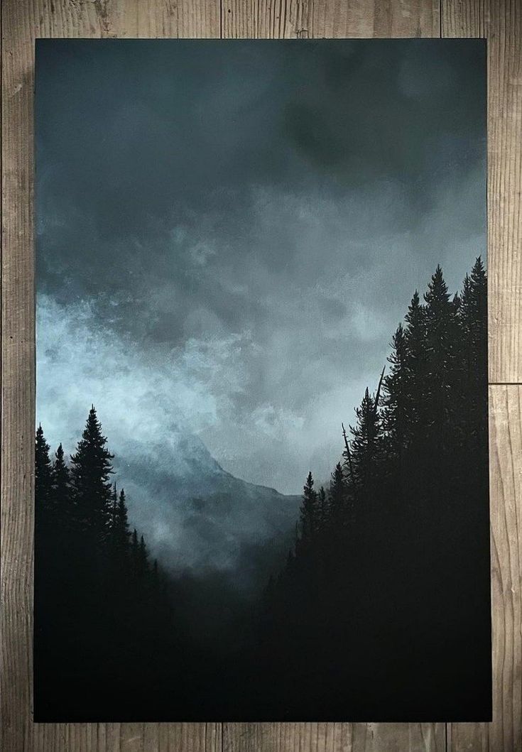 a black and white photo with trees in the foreground on a wooden floor, under a cloudy sky