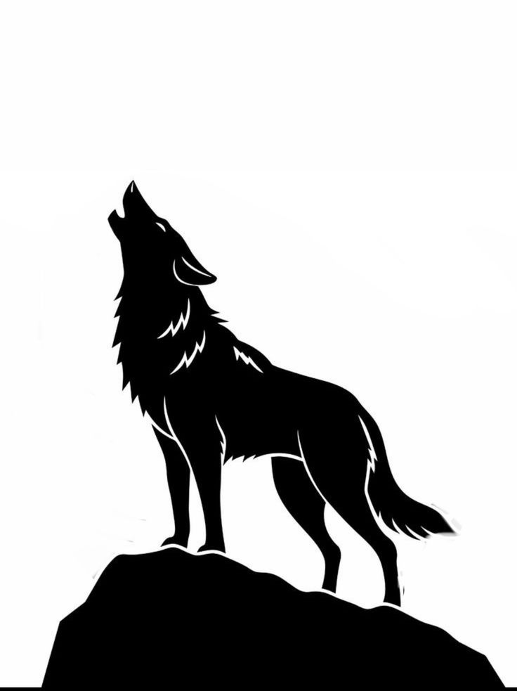 a wolf standing on top of a hill