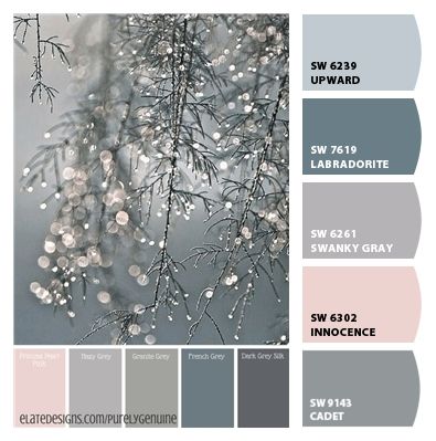 the color scheme is gray, white and grey with some snow on branches in the background