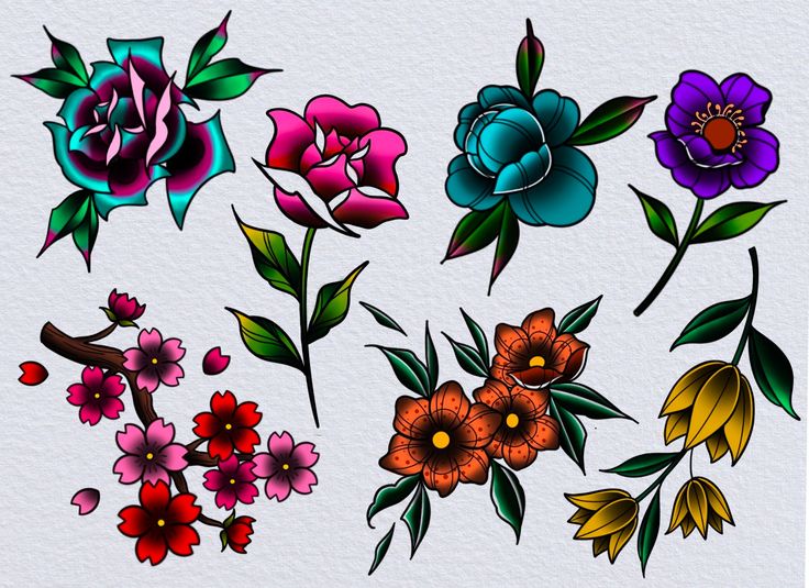 a bunch of different colored flowers on a white background with watermarks in the bottom right corner